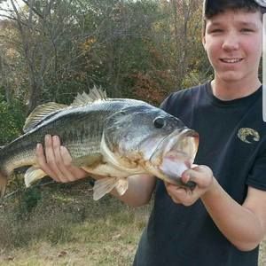 Meet your Posher, Leo